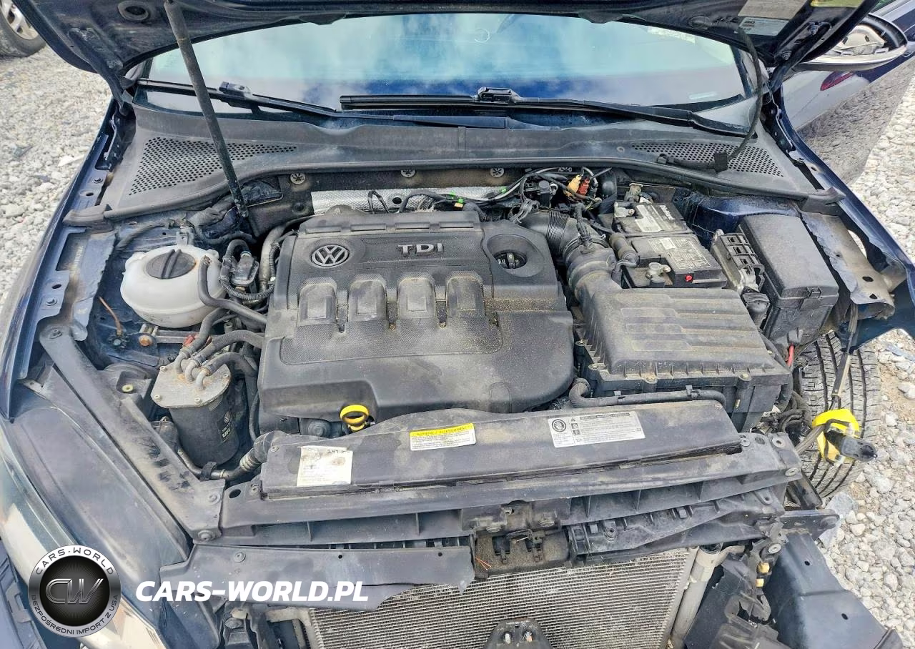 2015 Volkswagen Golf Tdi VIN:3VW2A7AU4FM041766 - 11