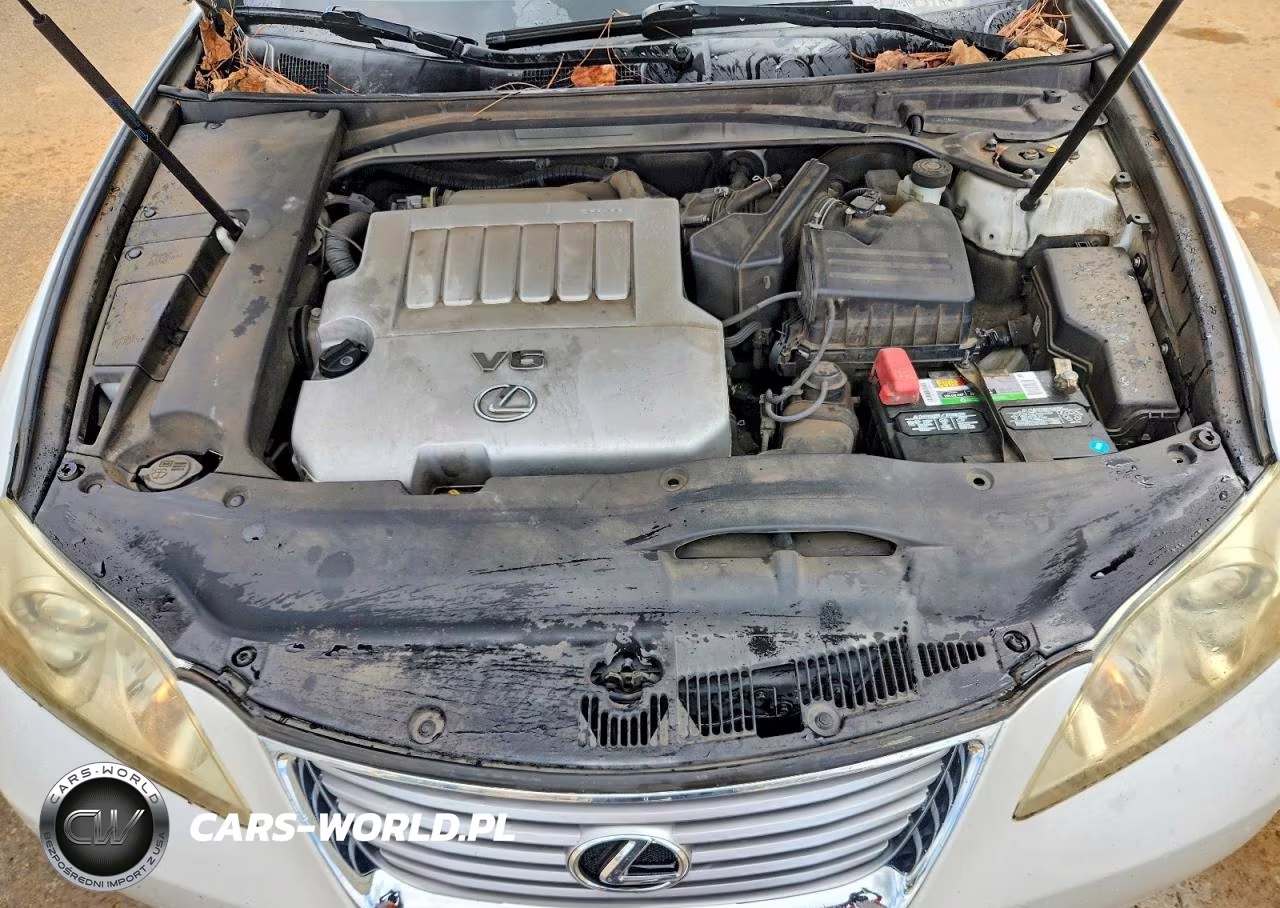 2009 Lexus Es 350 VIN:JTHBJ46G892296886 - 11