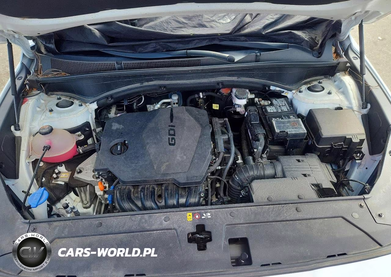 2022 Hyundai Santa Fe Sel VIN:5NMS24AJXNH404979 - 12