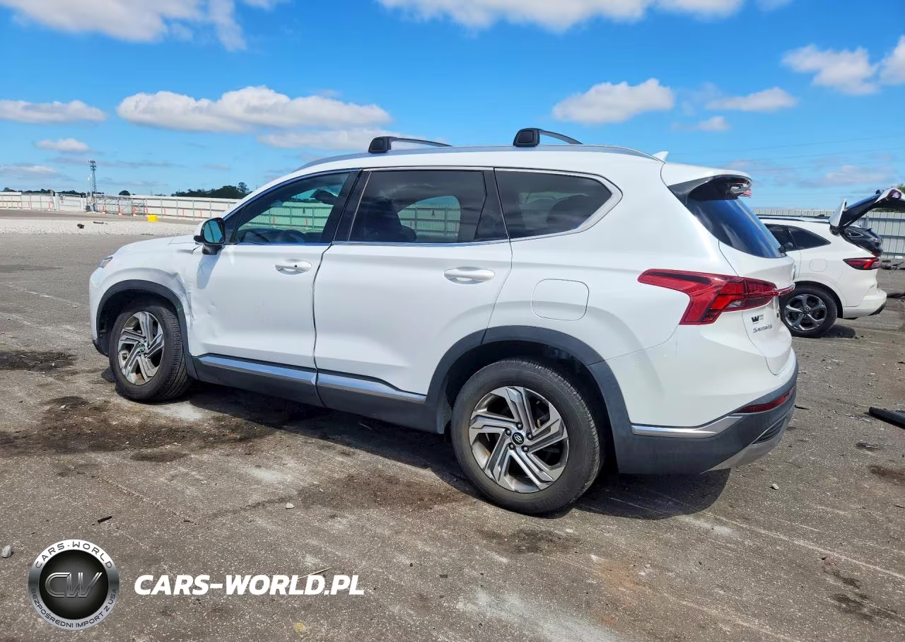2022 Hyundai Santa Fe Sel VIN:5NMS24AJXNH404979 - 2