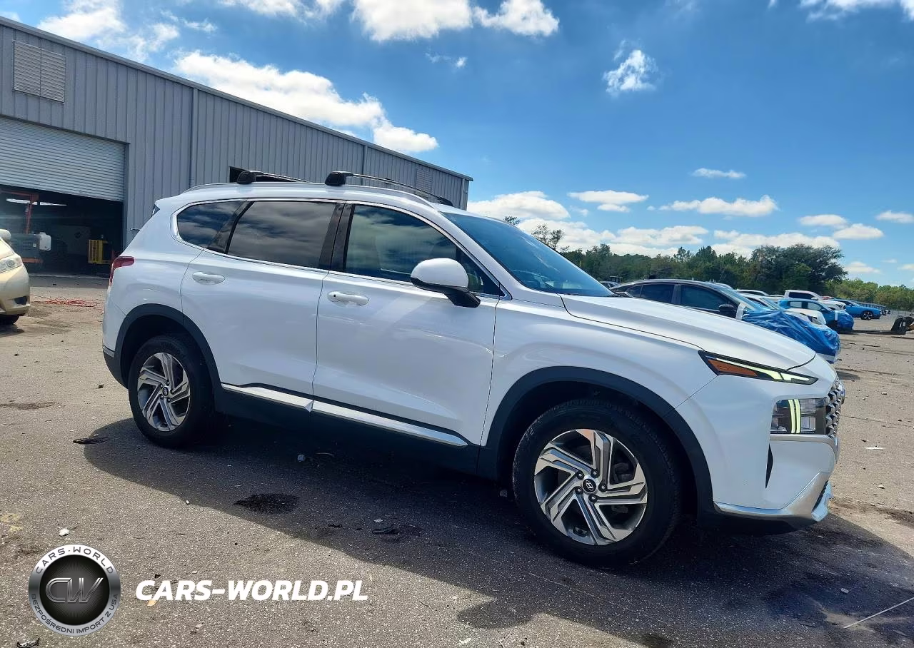 2022 Hyundai Santa Fe Sel VIN:5NMS24AJXNH404979 - 4