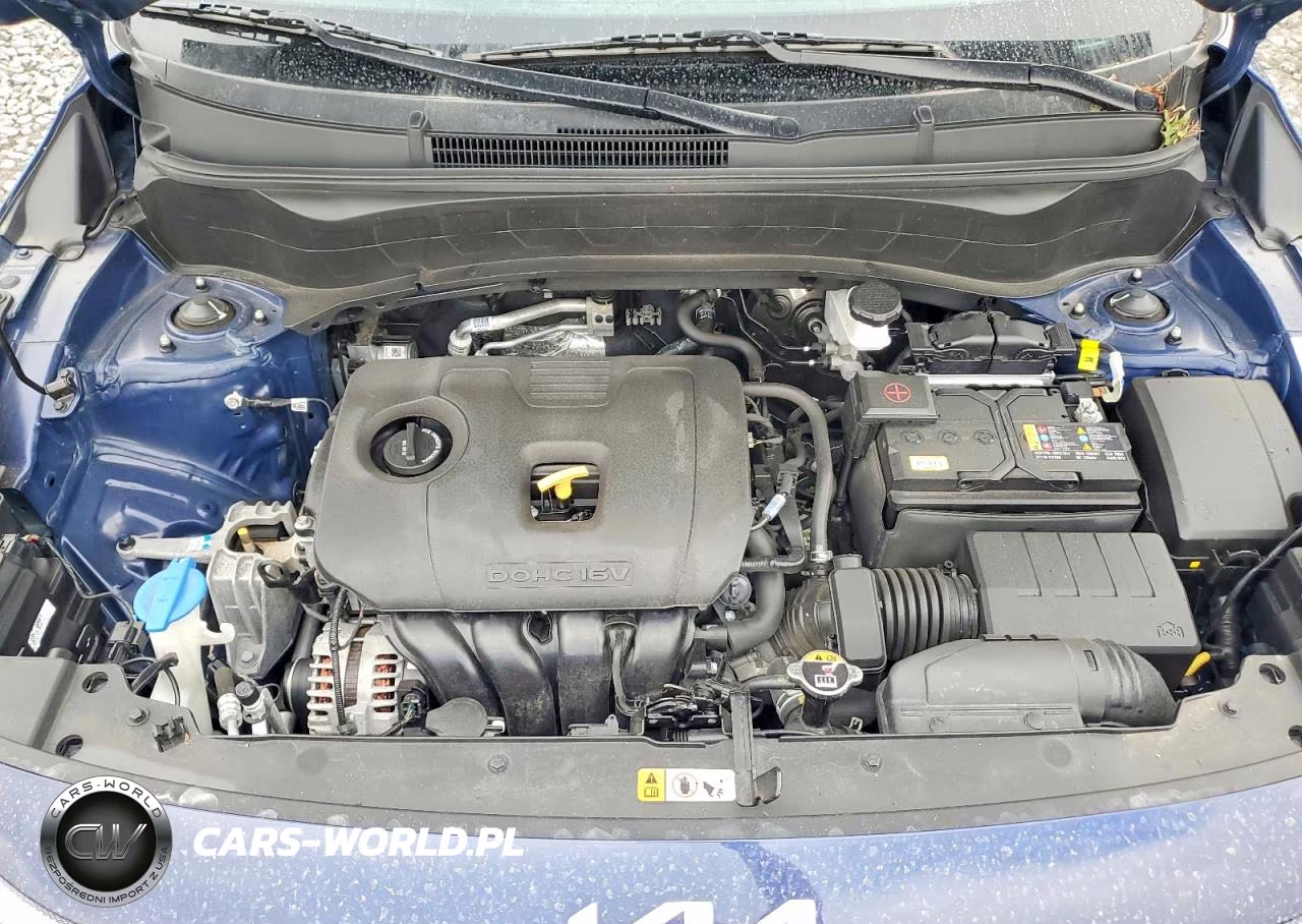 2024 Kia Seltos Ex VIN:KNDERCAA1R7543219 - 12