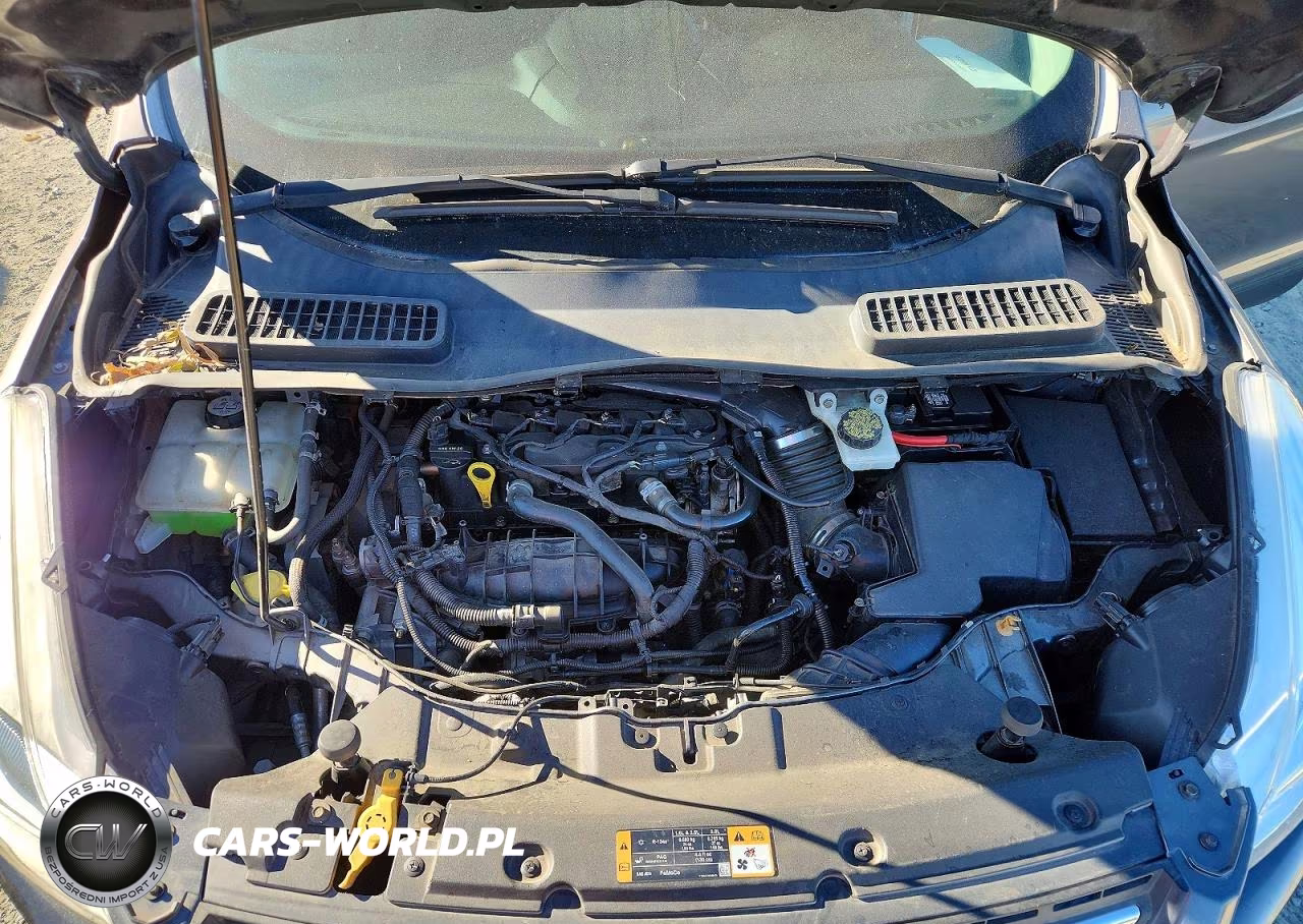 2014 Ford Escape Se VIN:1FMCU0GX0EUB09560 - 12