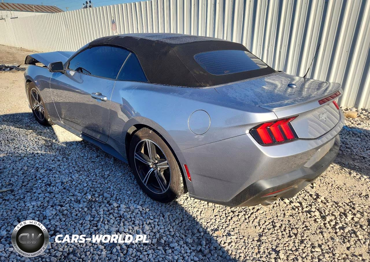 2024 Ford Mustang VIN:1FAGP8UH6R5125244 - 2