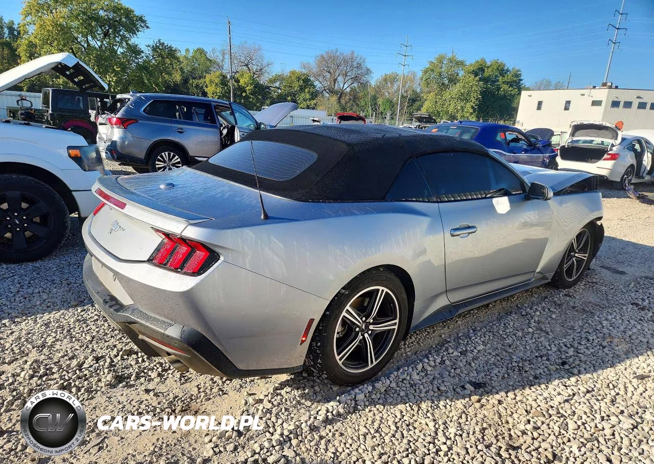 2024 Ford Mustang VIN:1FAGP8UH6R5125244 - 3