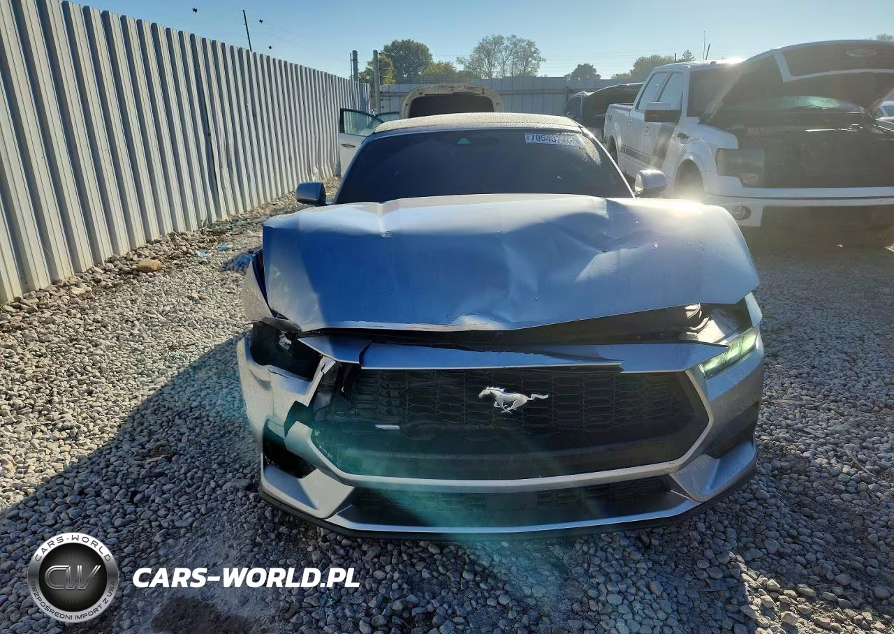 2024 Ford Mustang VIN:1FAGP8UH6R5125244 - 5