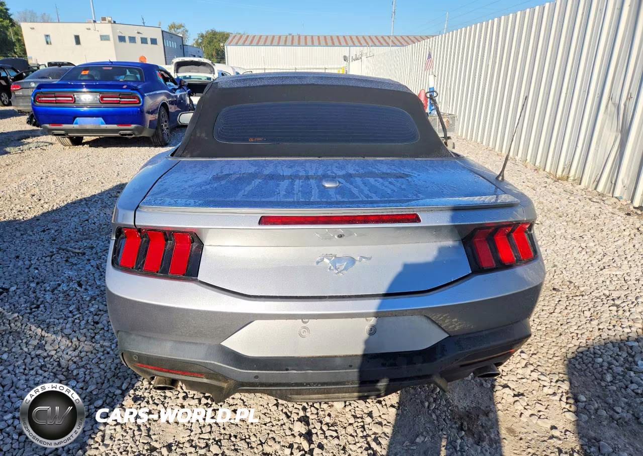 2024 Ford Mustang VIN:1FAGP8UH6R5125244 - 6