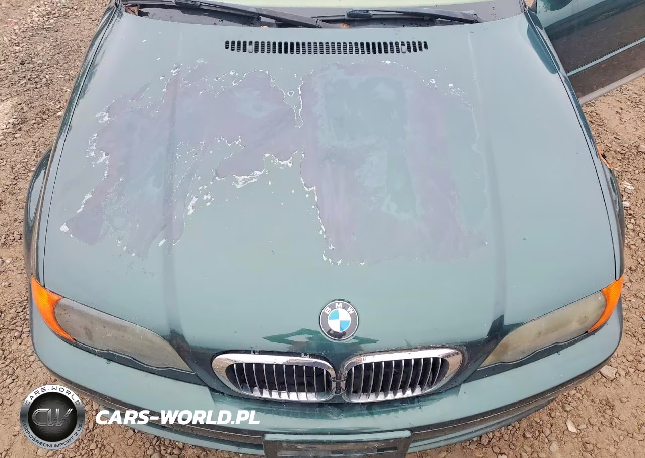 2001 BMW 325 Ci VIN:WBABN33441JW54213 - 11