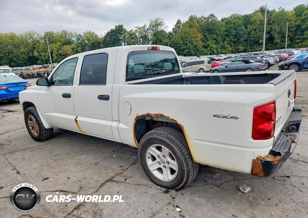 2009 Dodge Dakota Sxt VIN:1D7HW38KX9S736993 - 2