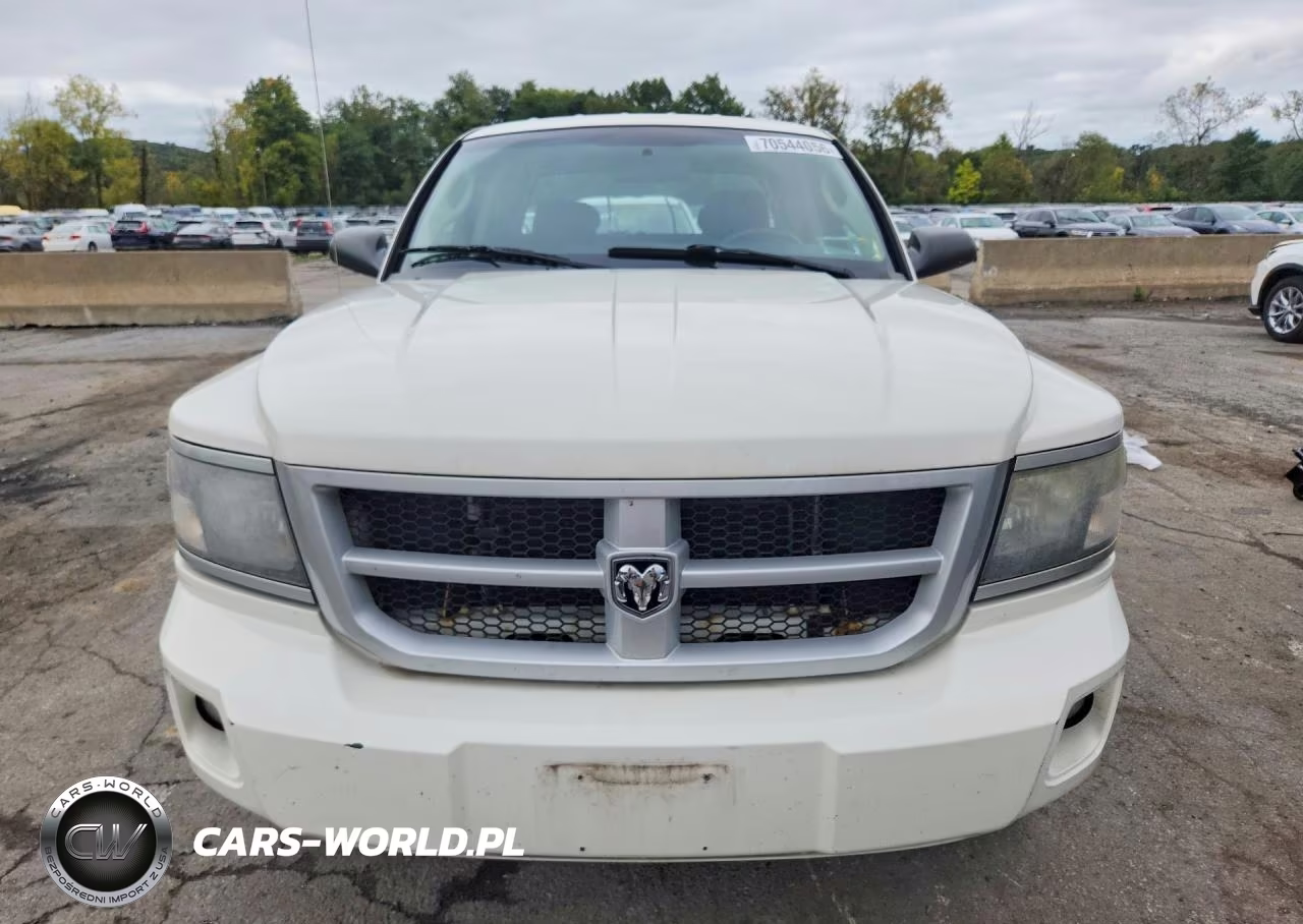 2009 Dodge Dakota Sxt VIN:1D7HW38KX9S736993 - 5