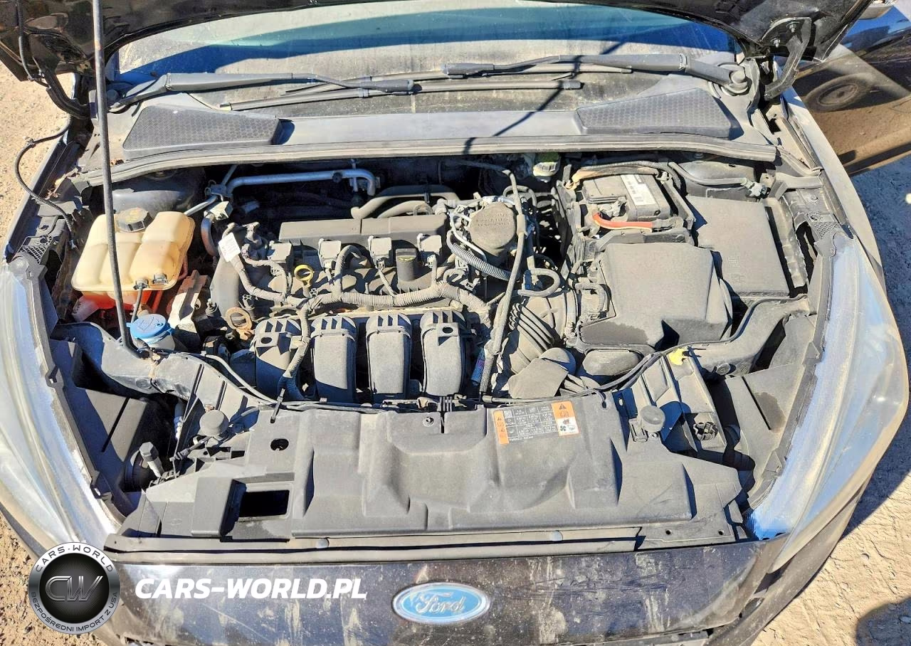 2015 Ford Focus Se VIN:1FADP3F26FL293309 - 11