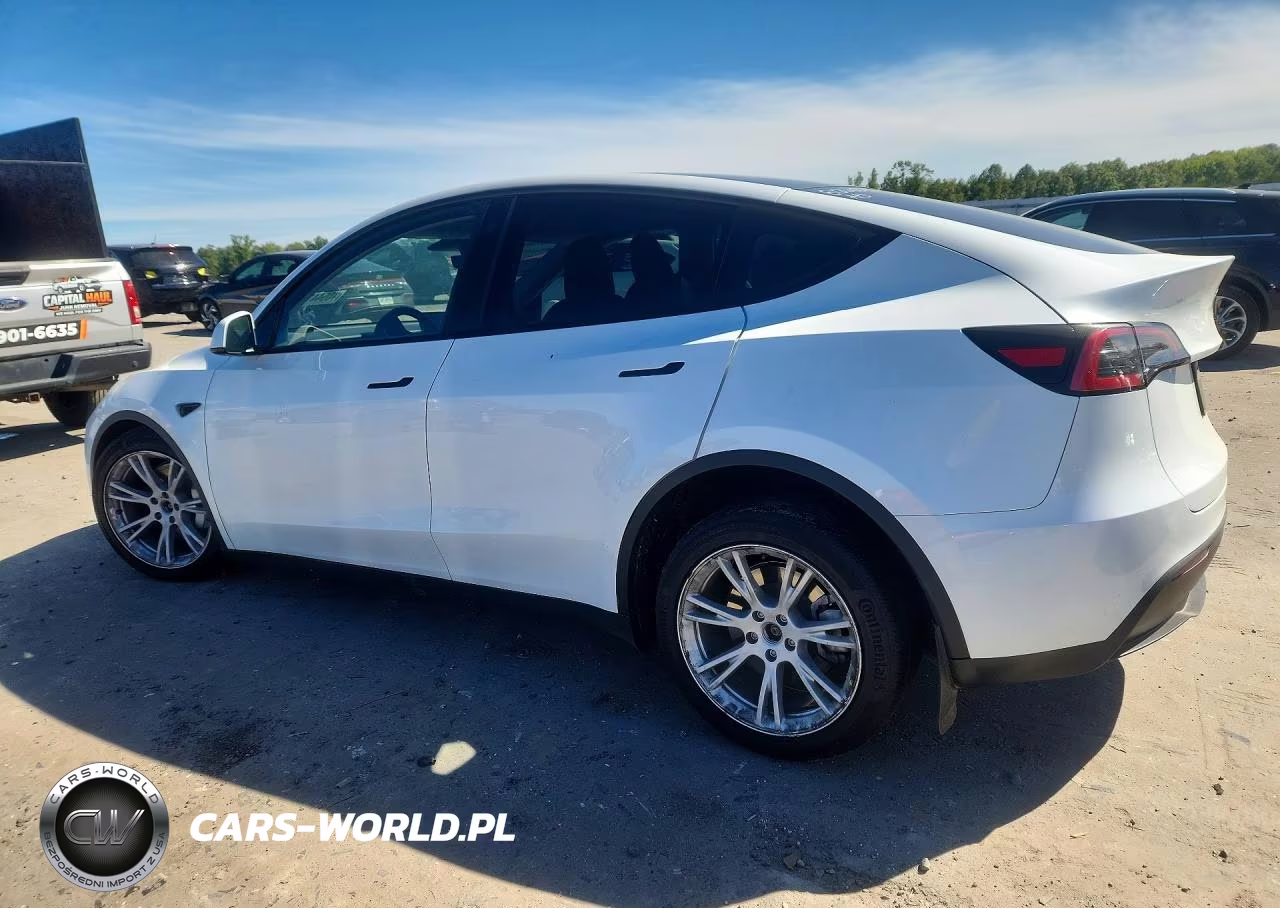 2023 Tesla Model Y VIN:7SAYGDEE6PA045966 - 2