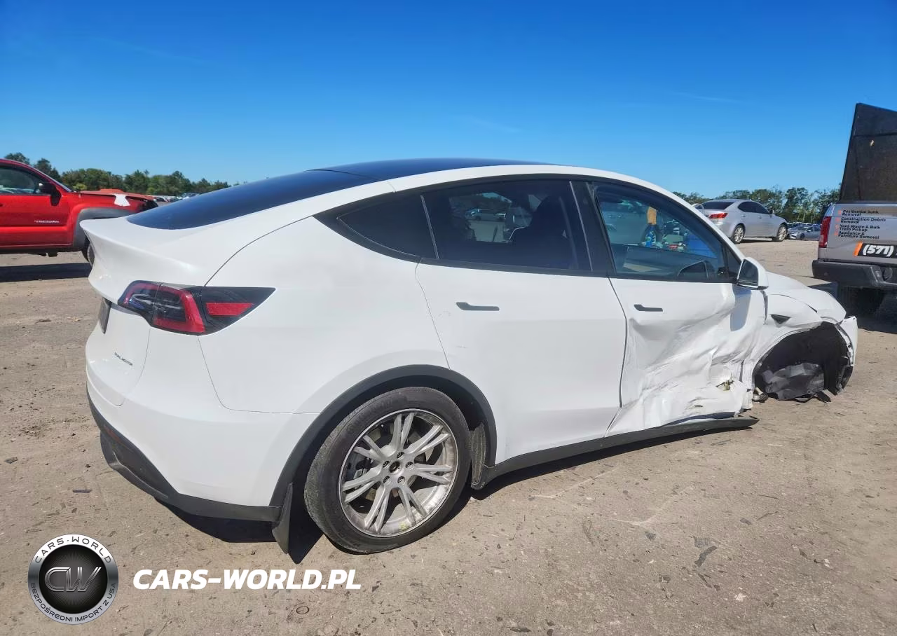 2023 Tesla Model Y VIN:7SAYGDEE6PA045966 - 3
