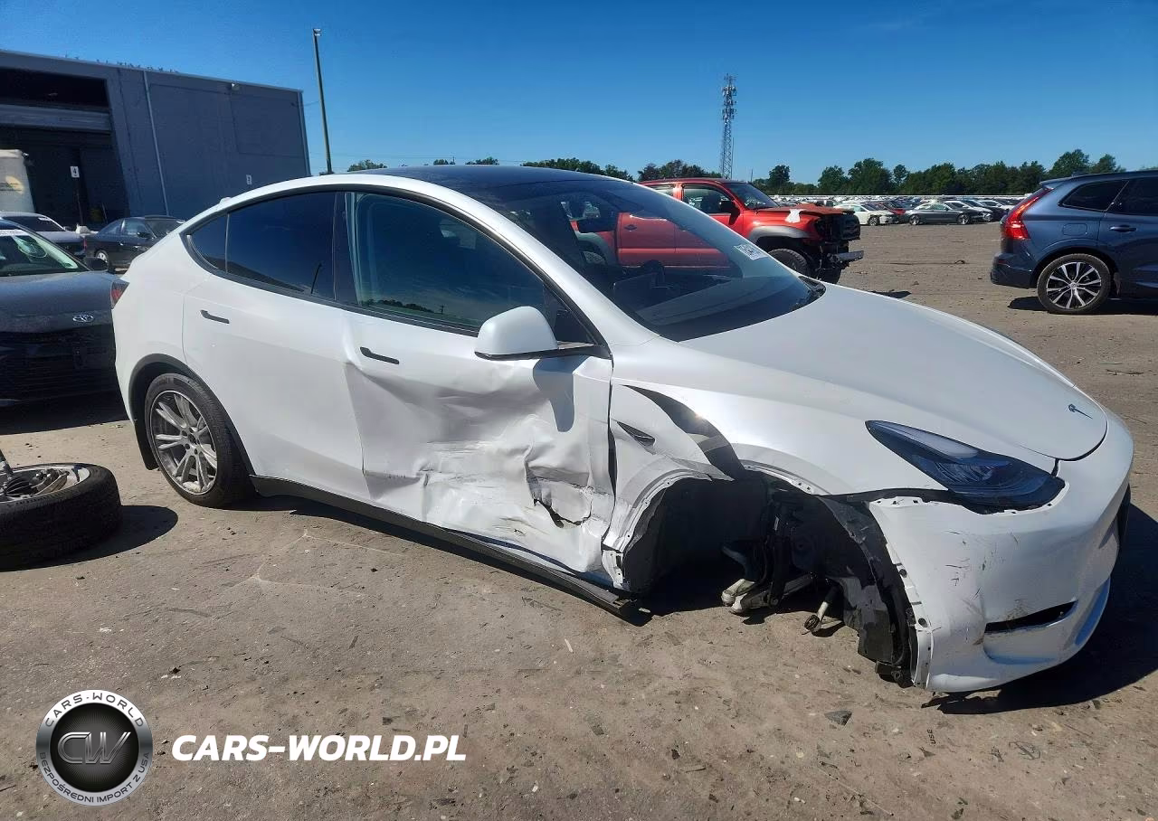 2023 Tesla Model Y VIN:7SAYGDEE6PA045966 - 4