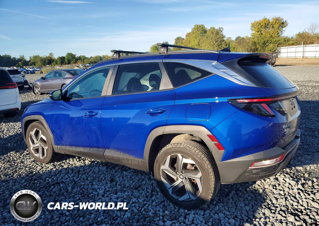 2023 Hyundai Tucson Sel VIN:5NMJFCAE7PH203900 - 2