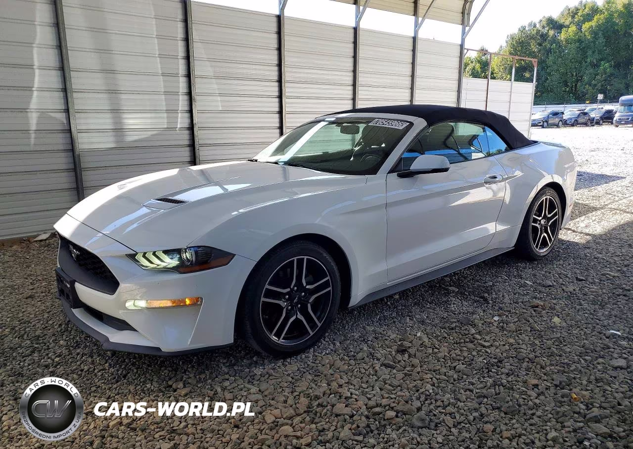 2020 Ford Mustang VIN:1FATP8UH6L5135004 - 1