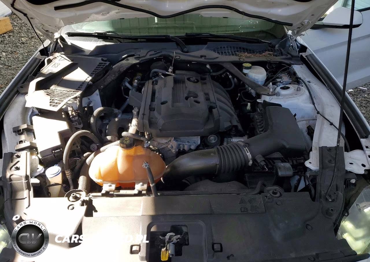 2020 Ford Mustang VIN:1FATP8UH6L5135004 - 11