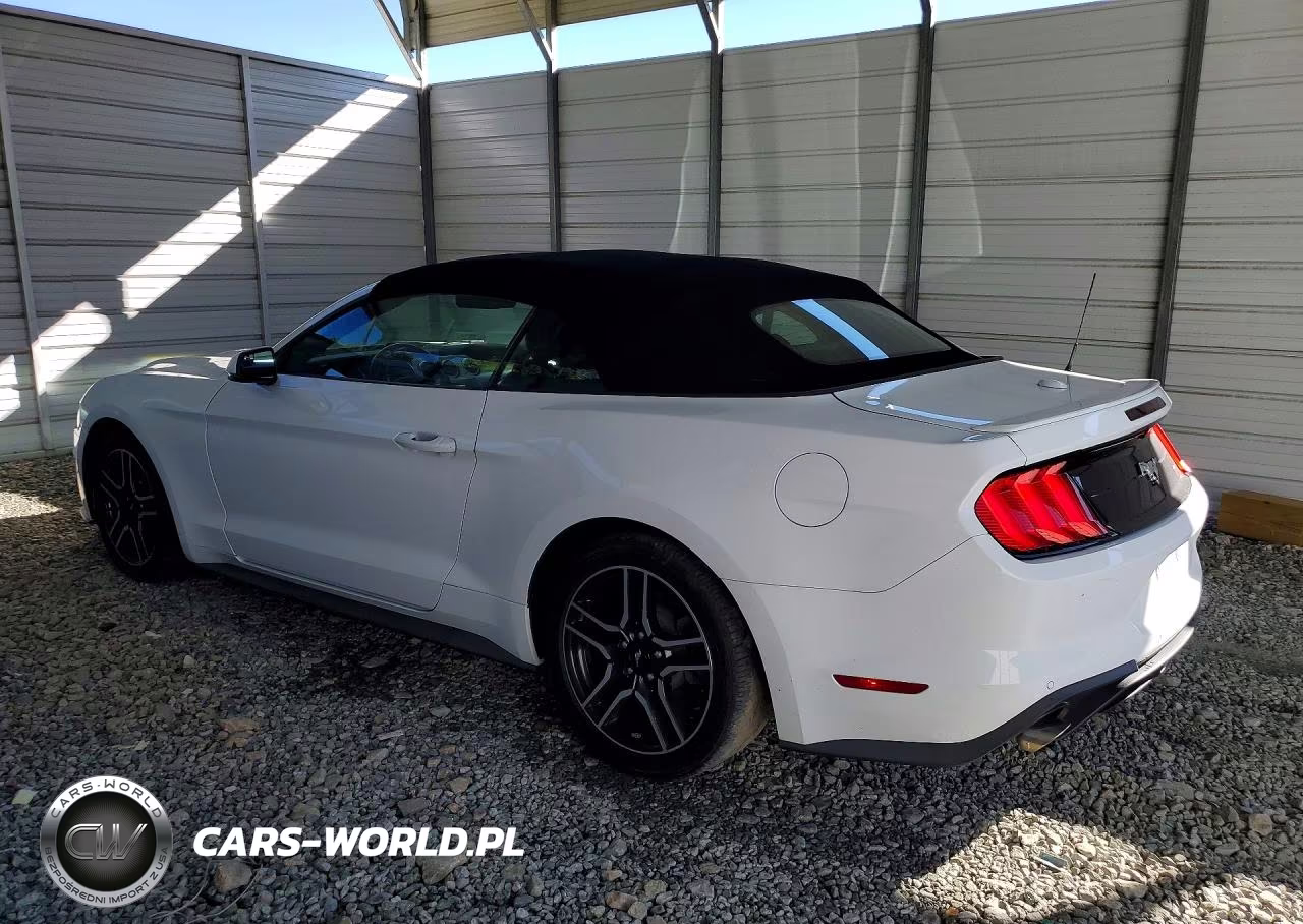 2020 Ford Mustang VIN:1FATP8UH6L5135004 - 2
