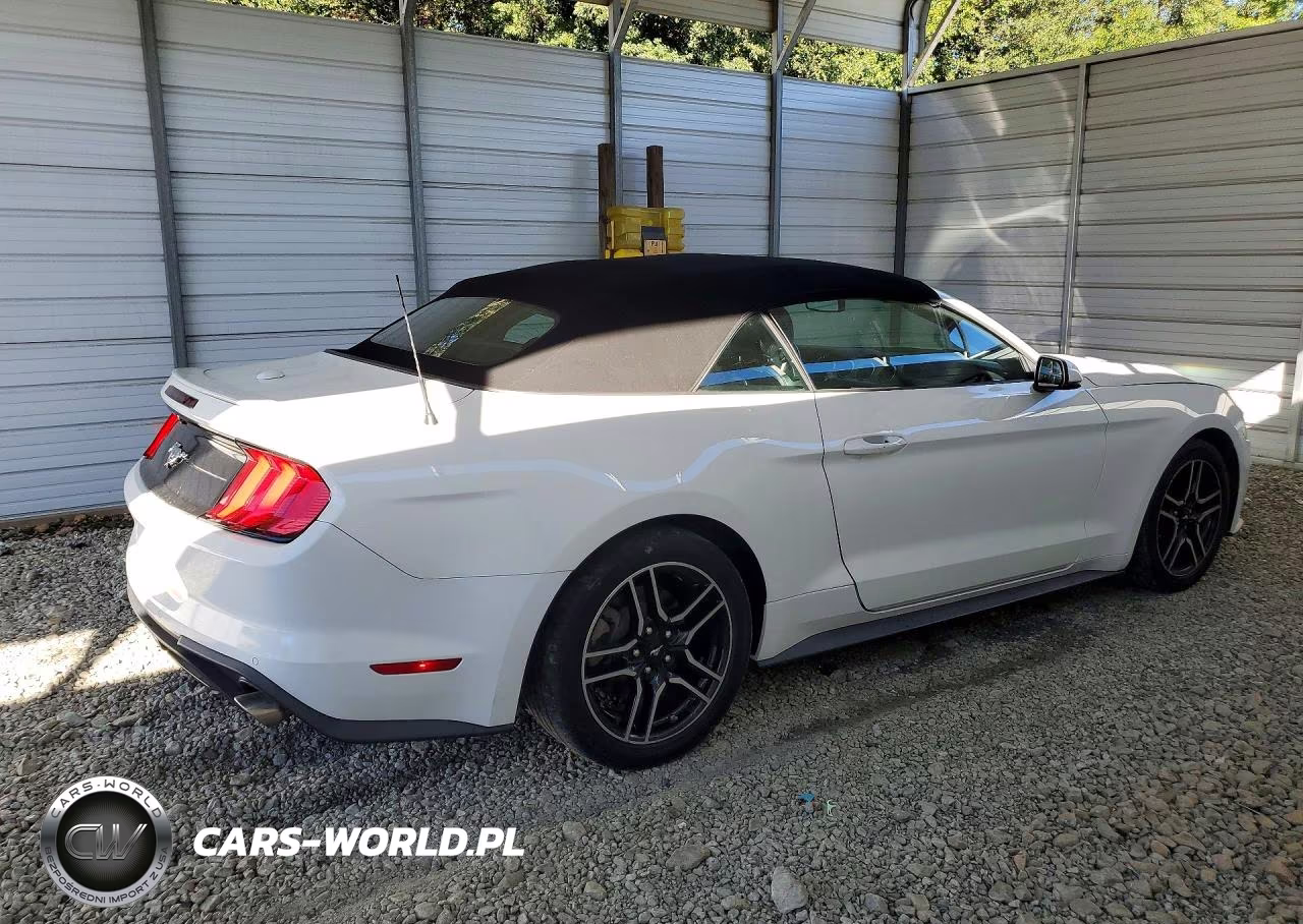 2020 Ford Mustang VIN:1FATP8UH6L5135004 - 3