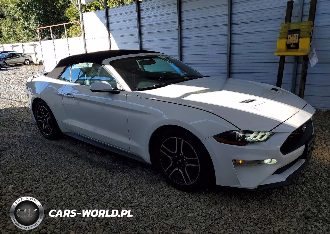 2020 Ford Mustang VIN:1FATP8UH6L5135004 - 4
