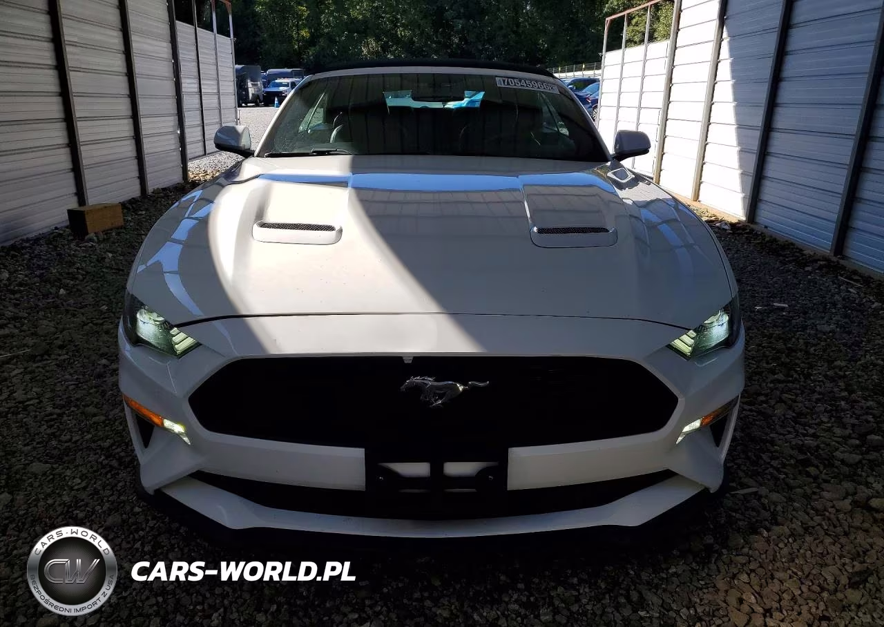 2020 Ford Mustang VIN:1FATP8UH6L5135004 - 5