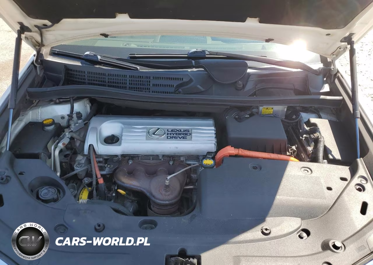 2010 Lexus Hs 250H VIN:JTHBB1BAXA2001997 - 11