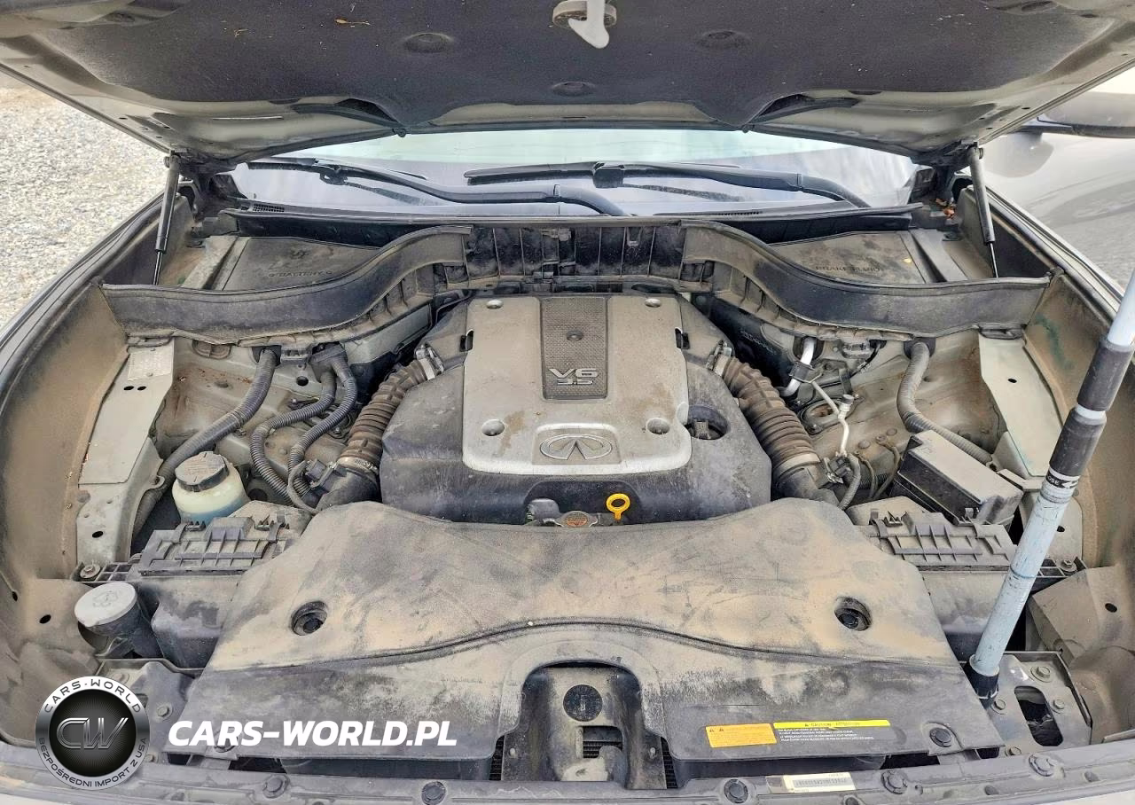 2009 Infiniti Fx35 Base VIN:JNRAS18W39M153846 - 12