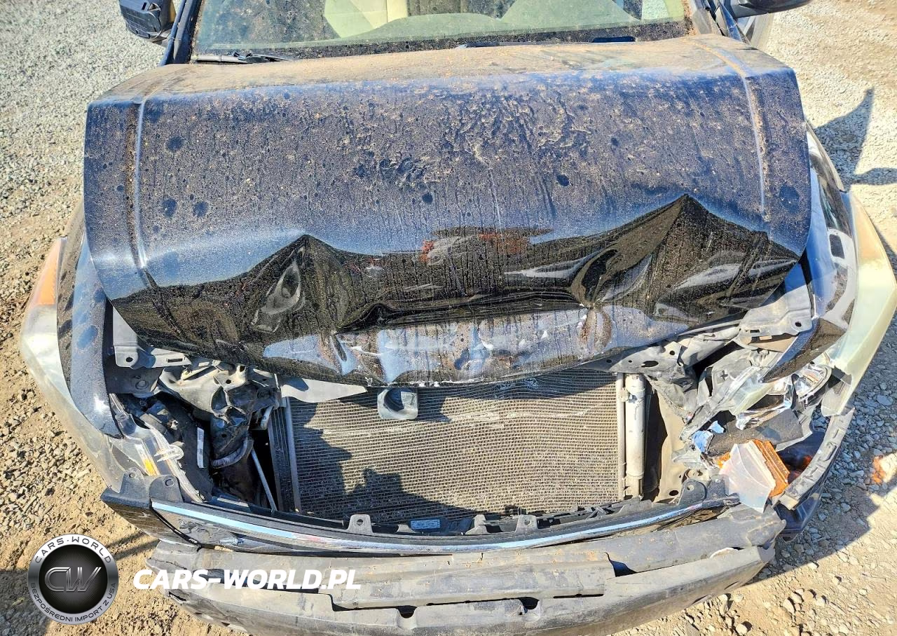 2010 Honda Accord Lx VIN:1HGCP2F31AA024035 - 11