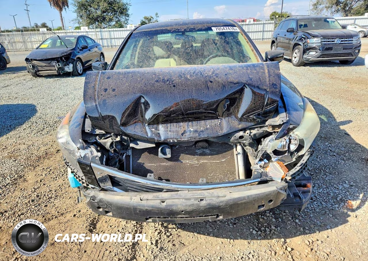 2010 Honda Accord Lx VIN:1HGCP2F31AA024035 - 5
