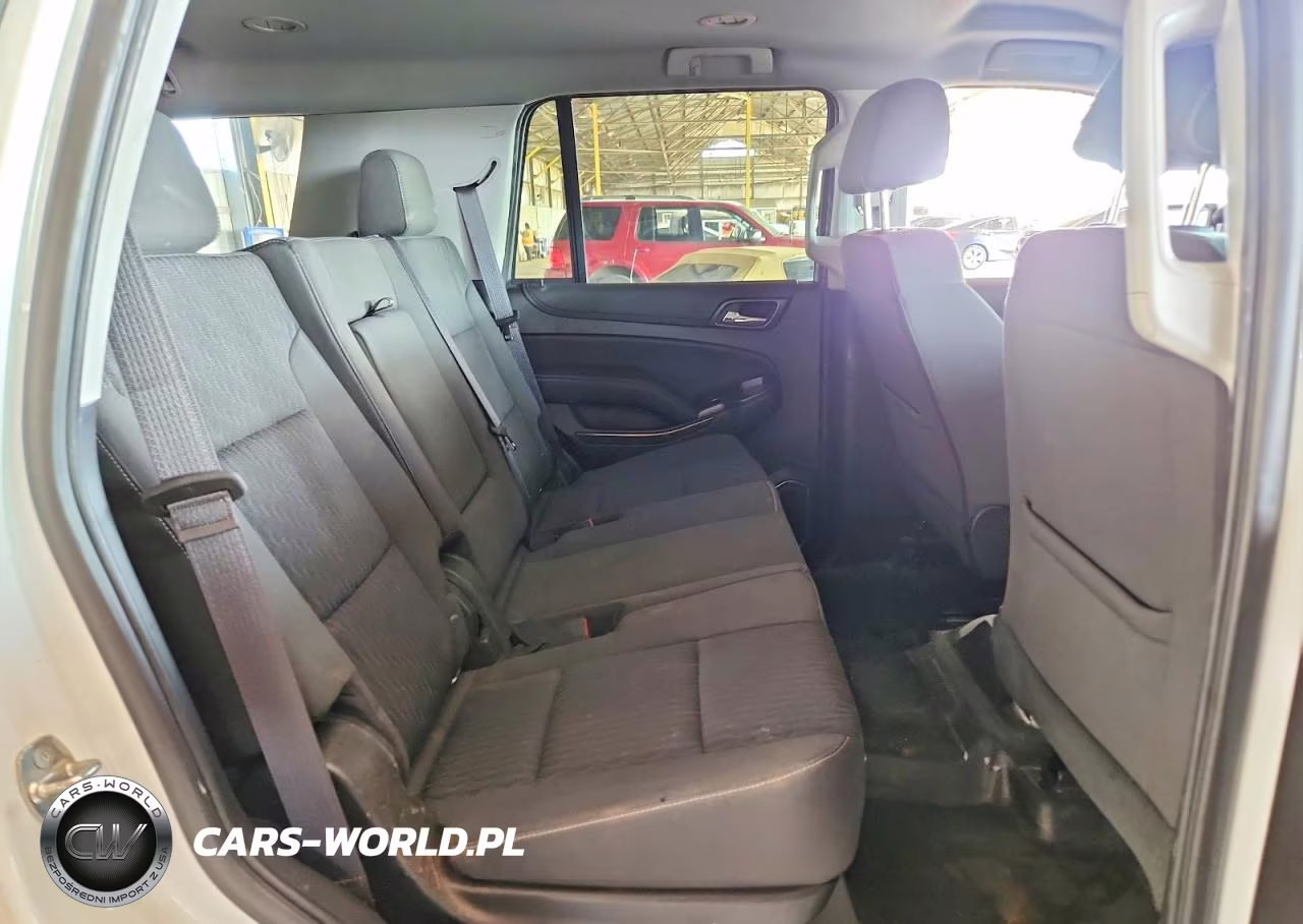 2019 Chevrolet Tahoe Police VIN:1GNLCDEC8KR366924 - 10