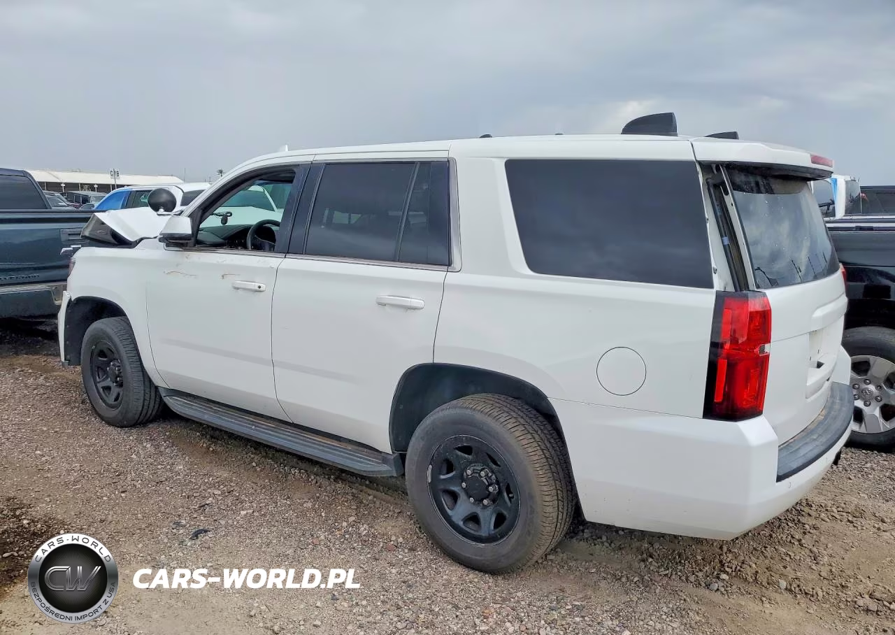 2019 Chevrolet Tahoe Police VIN:1GNLCDEC8KR366924 - 2