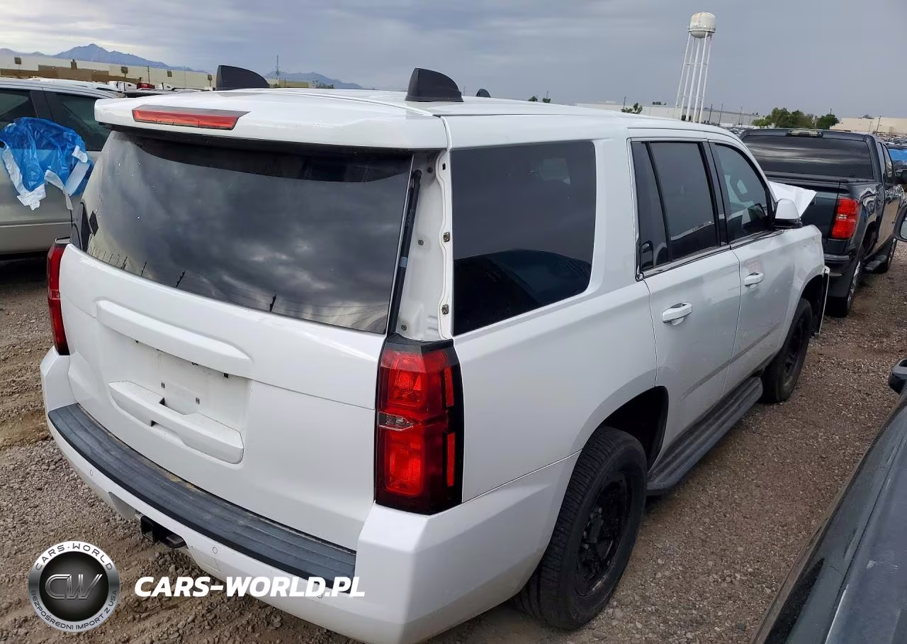 2019 Chevrolet Tahoe Police VIN:1GNLCDEC8KR366924 - 3