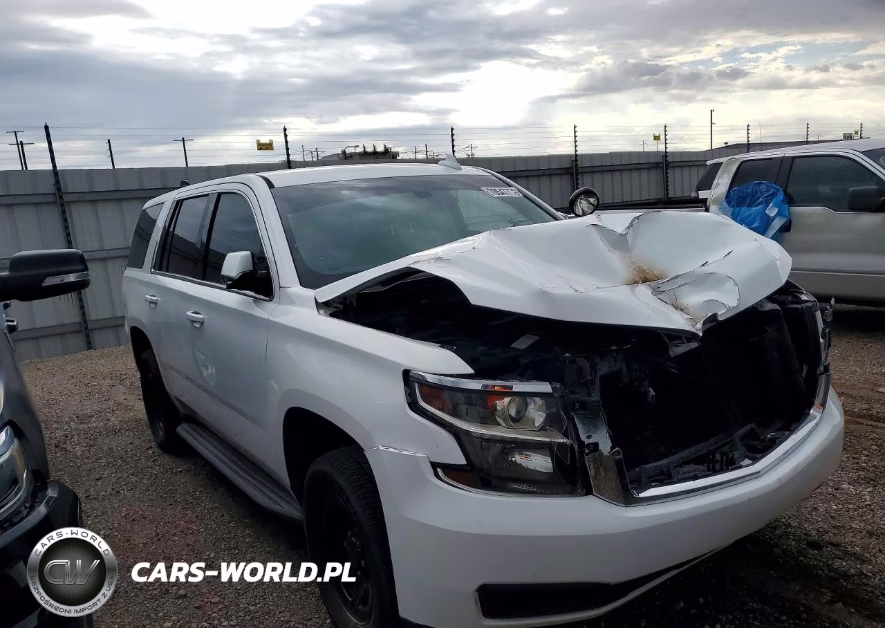 2019 Chevrolet Tahoe Police VIN:1GNLCDEC8KR366924 - 4