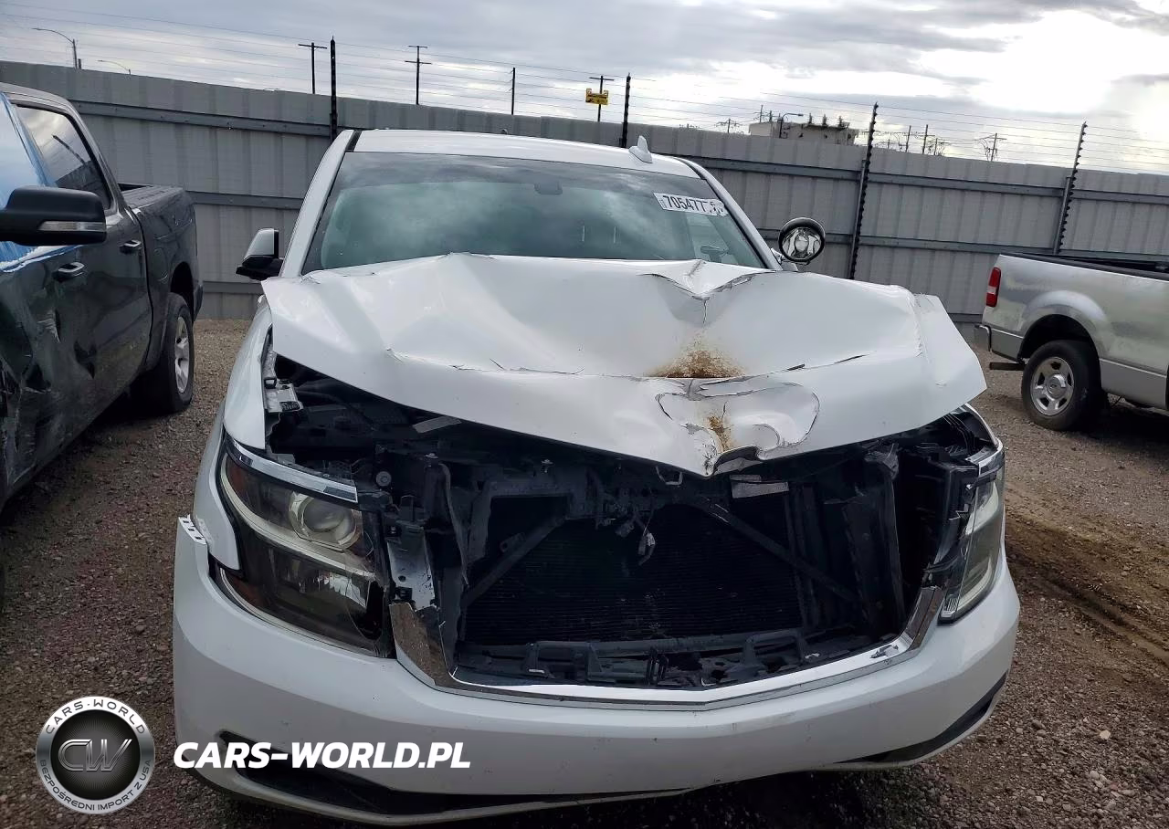 2019 Chevrolet Tahoe Police VIN:1GNLCDEC8KR366924 - 5