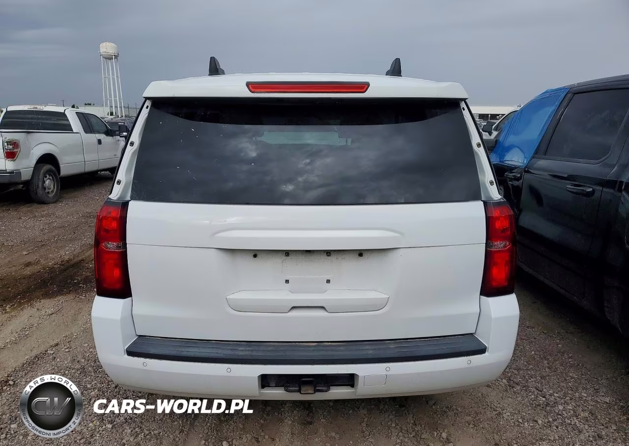 2019 Chevrolet Tahoe Police VIN:1GNLCDEC8KR366924 - 6