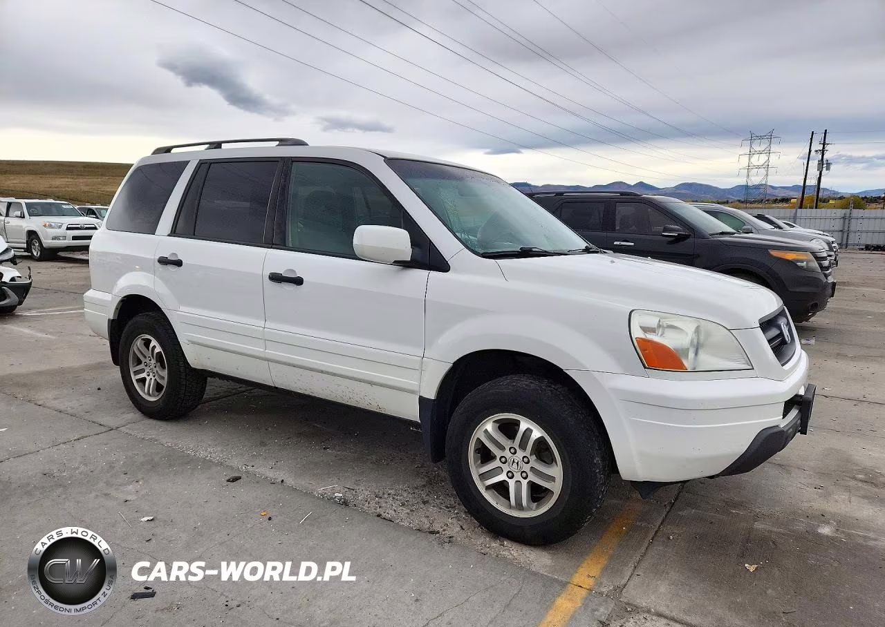 2004 Honda Pilot Ex VIN:2HKYF184X4H611502 - 4
