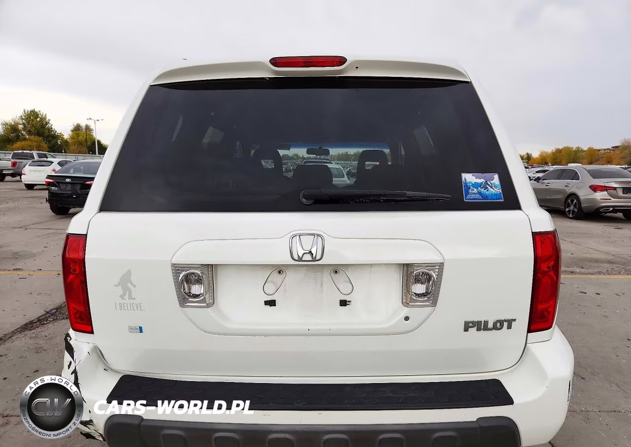 2004 Honda Pilot Ex VIN:2HKYF184X4H611502 - 6
