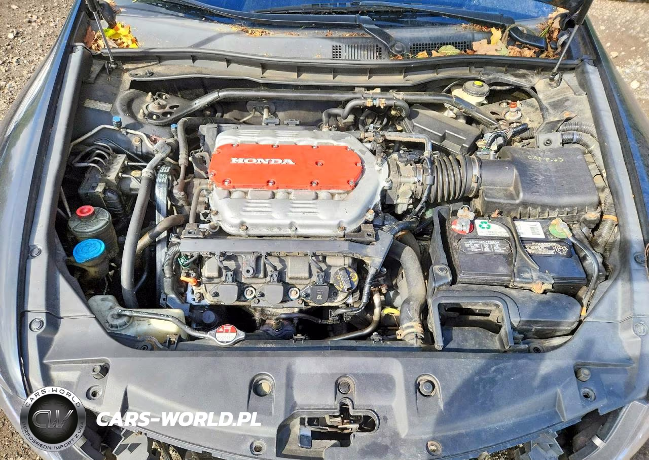 2011 Honda Accord Exl VIN:1HGCP3F87BA019442 - 11