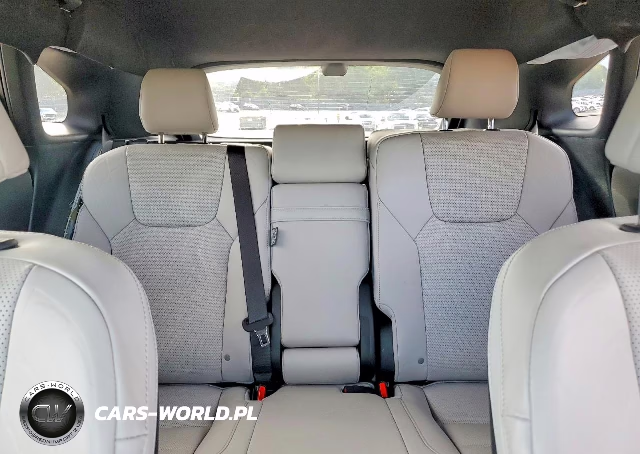 2023 Lexus Rx 350 Premium+ VIN:2T2BAMCA9PC009776 - 10