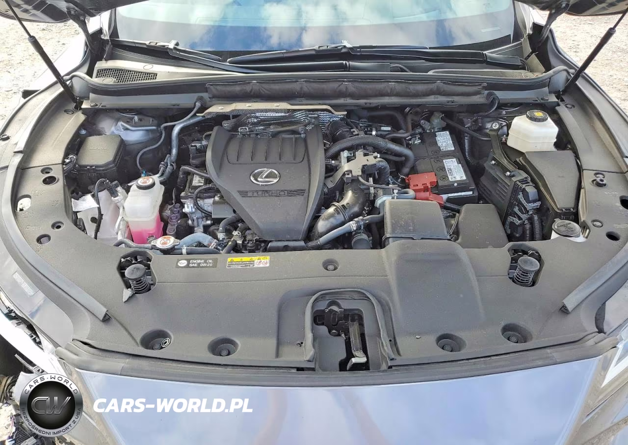 2023 Lexus Rx 350 Premium+ VIN:2T2BAMCA9PC009776 - 12