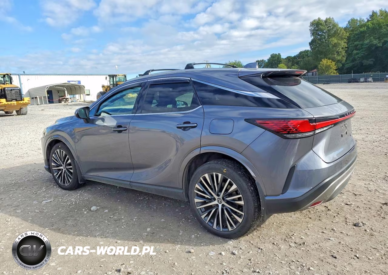 2023 Lexus Rx 350 Premium+ VIN:2T2BAMCA9PC009776 - 2