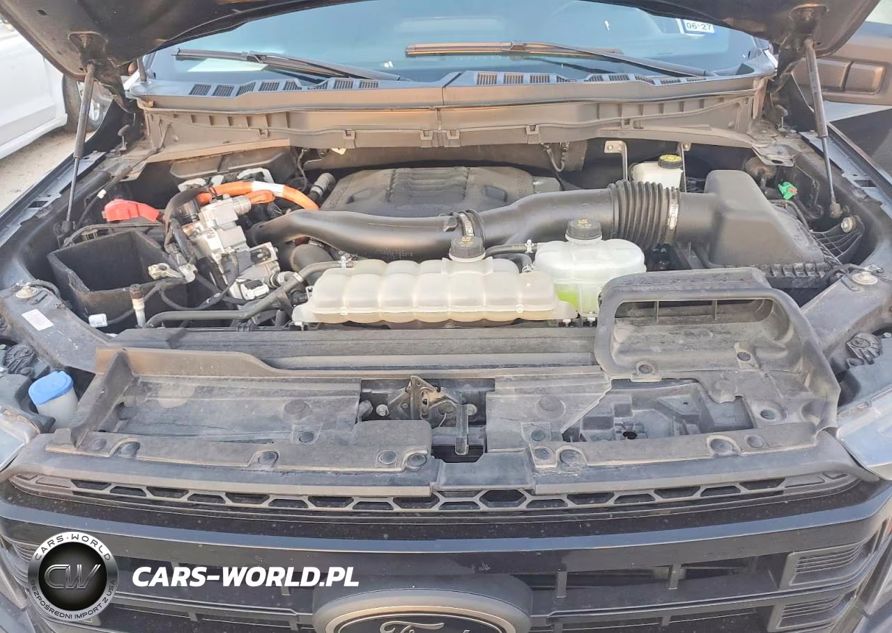 2023 Ford F150 Supercrew VIN:1FTFW1ED0PFD29959 - 11