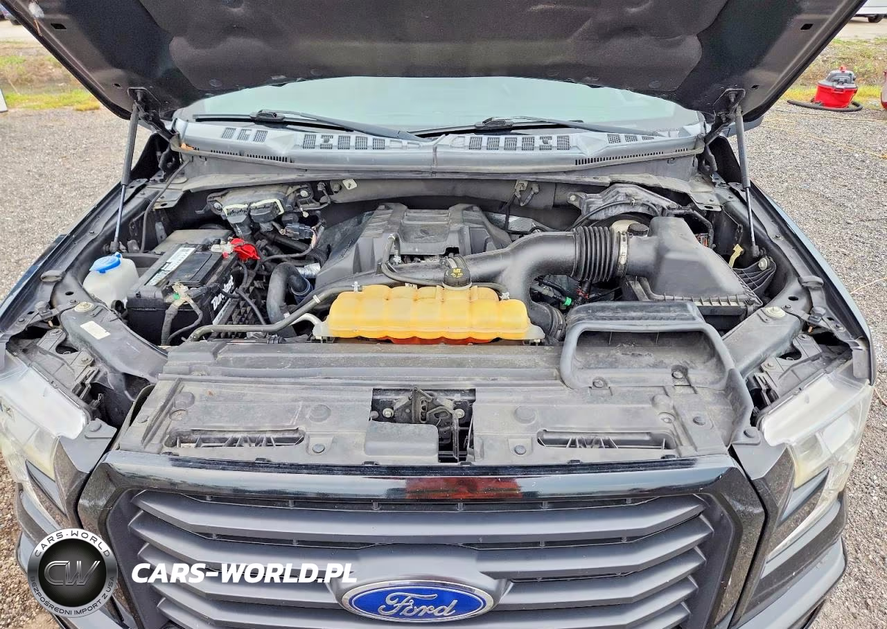 2017 Ford F150 Supercrew VIN:1FTEW1EP5HFC01160 - 11