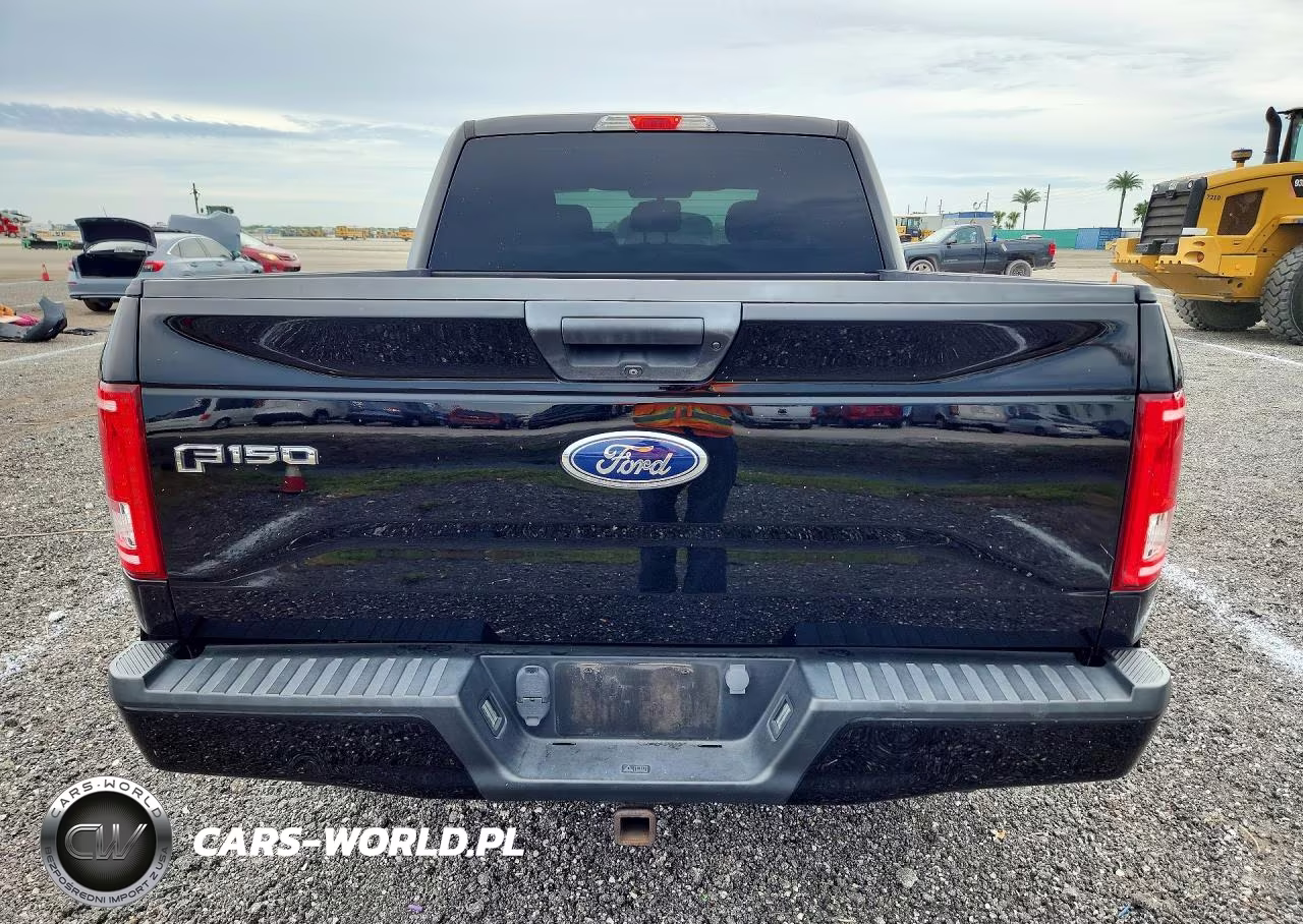 2017 Ford F150 Supercrew VIN:1FTEW1EP5HFC01160 - 6