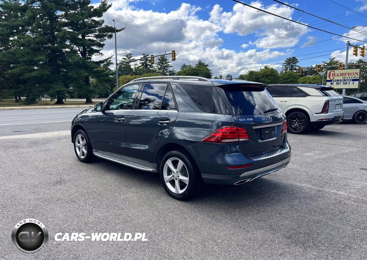 2016 Mercedes-Benz Gle 350 VIN:4JGDA5JB6GA684807 - 3