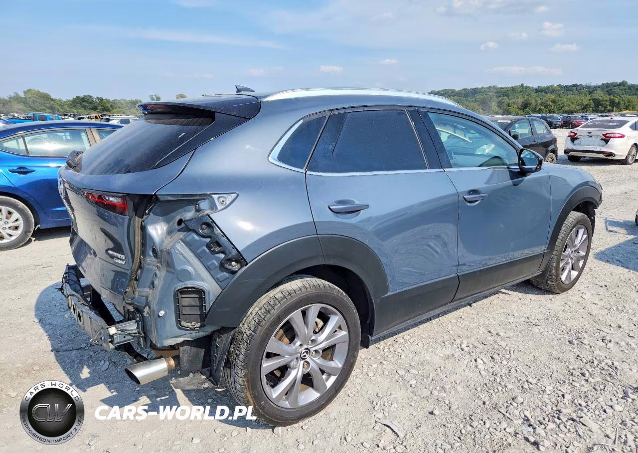 2021 Mazda Cx-30 Premium VIN:3MVDMBDY7MM309094 - 3