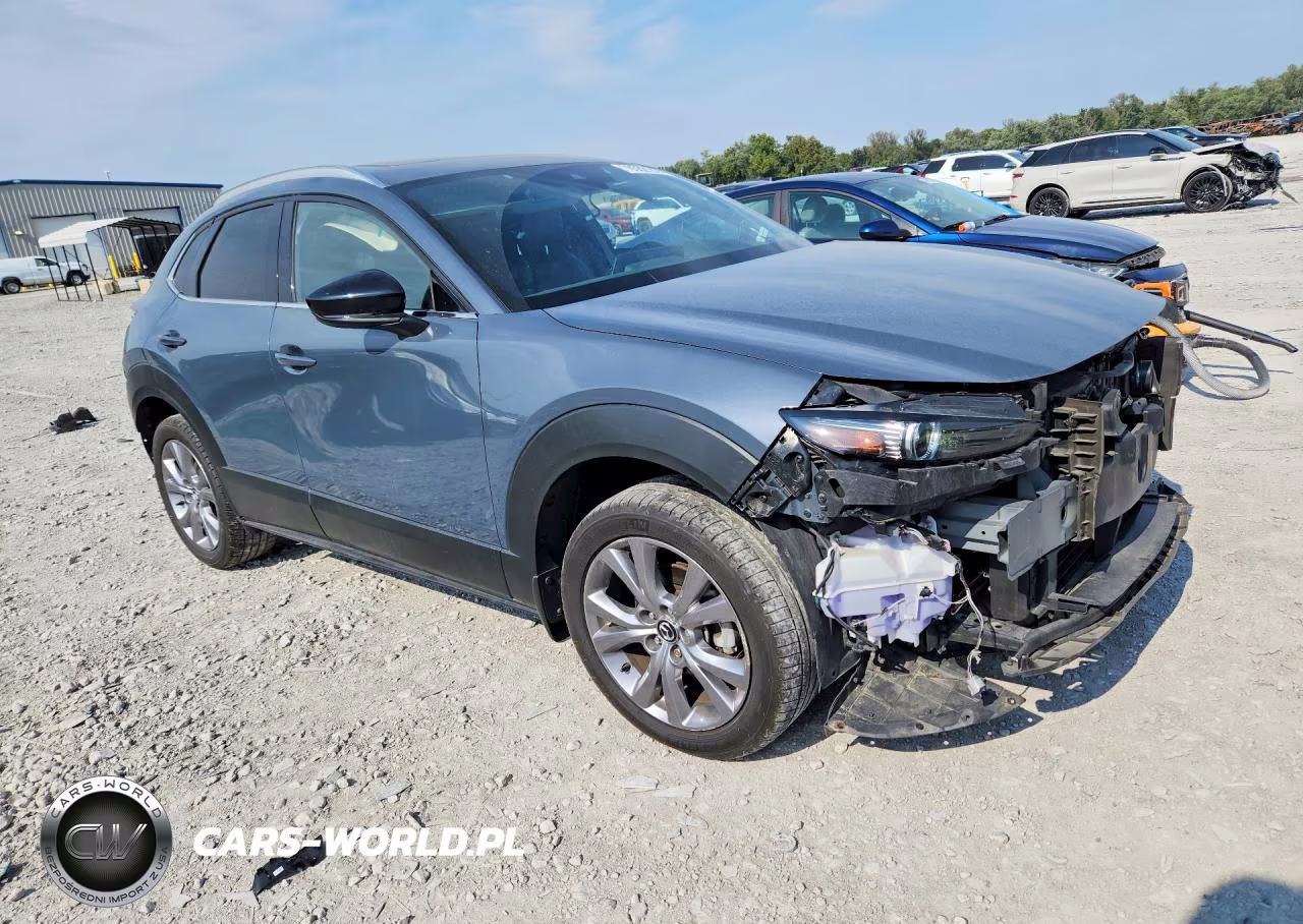 2021 Mazda Cx-30 Premium VIN:3MVDMBDY7MM309094 - 4