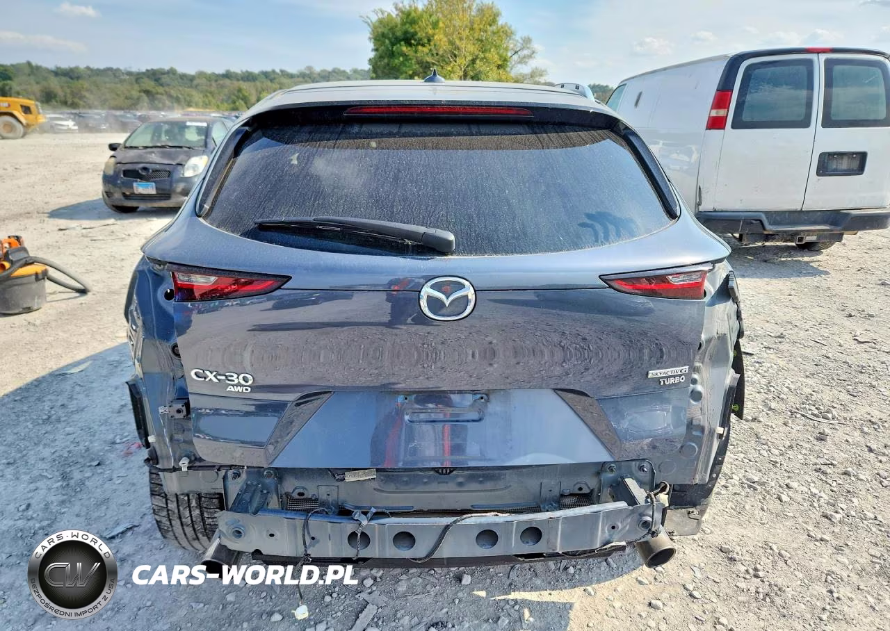 2021 Mazda Cx-30 Premium VIN:3MVDMBDY7MM309094 - 6