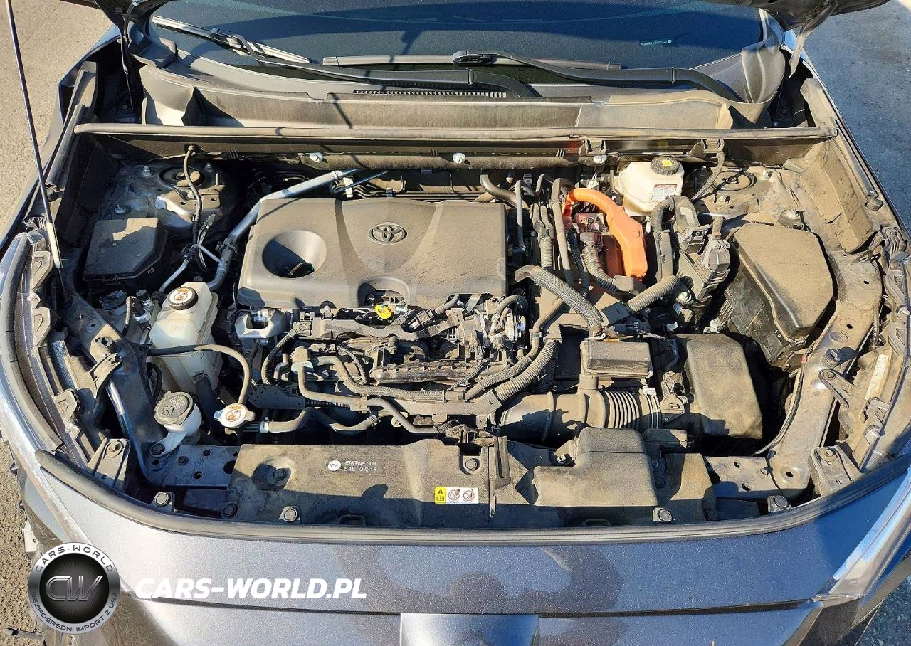 2024 Toyota Rav4 Le VIN:JTMMWRFV2RD232032 - 12