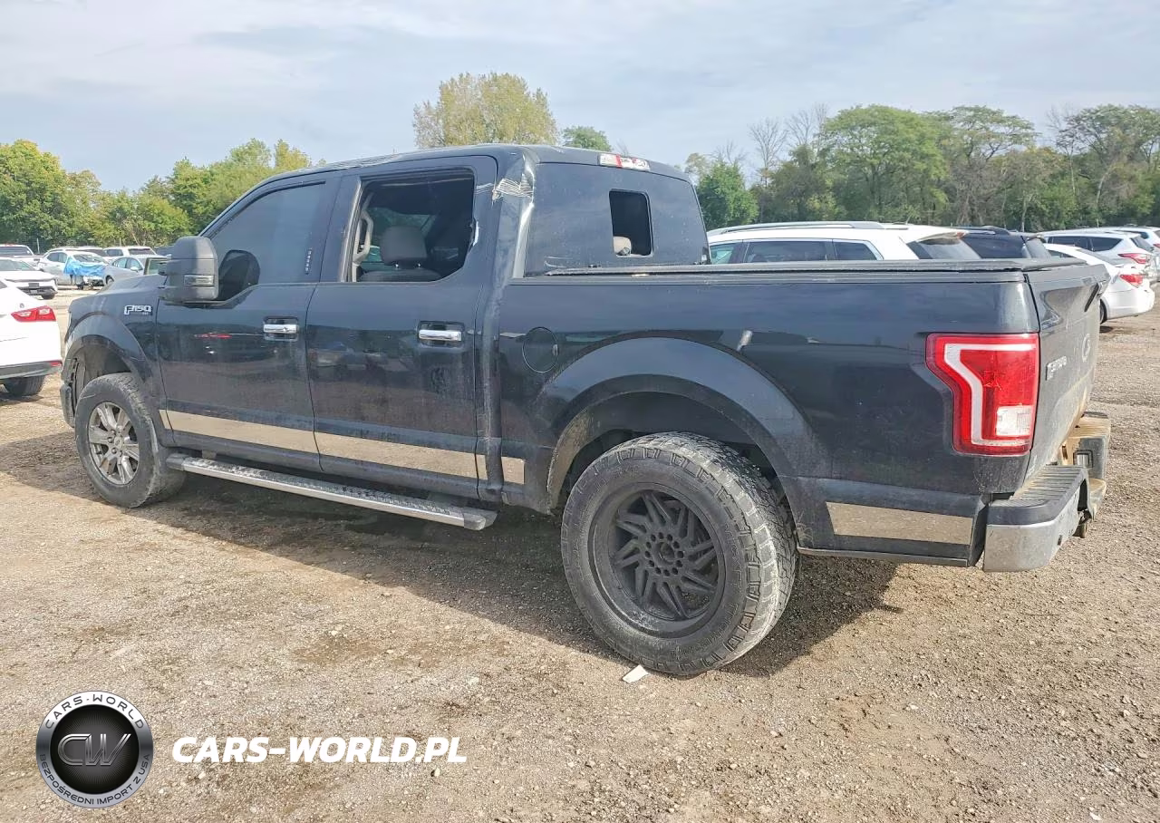 2015 Ford F150 Supercrew VIN:1FTEW1EF0FFA88495 - 2